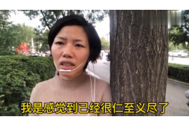 协助杨先生追讨女朋友欠债